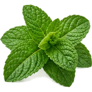 Aceite de menta piperita